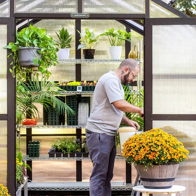 How to Incorporate Companion Planting in Your Aluminum Greenhouse