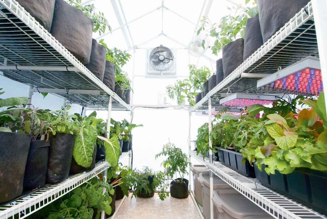 Compact LED grow light for efficient indoor gardening, ideal for hydroponic and soil-based plant systems