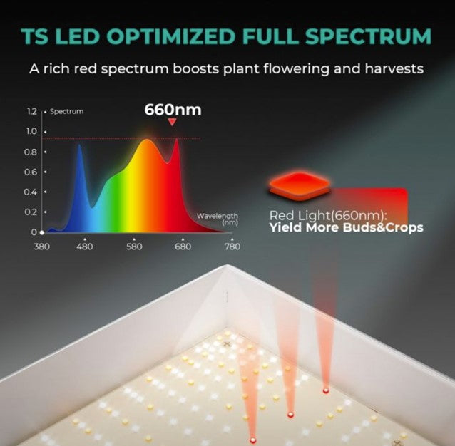LED grow light for compact hydroponic systems, perfect for small indoor spaces and efficient growth
