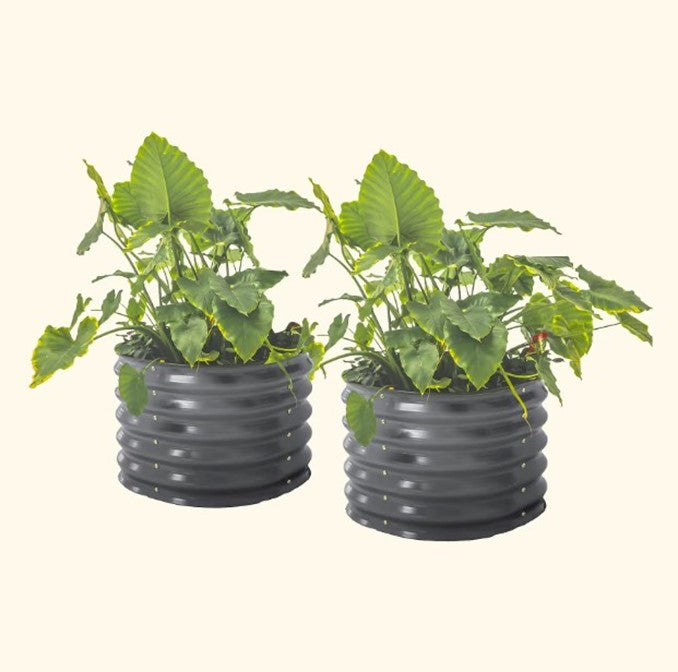 Vego Garden’s Self Watering Garden Bed system for sustainable greenhouse planting and moisture control