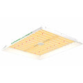 Full spectrum LED grow light designed for hydroponic gardening, ideal for energy-efficient indoor growth.
