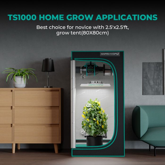 Compact hydroponic greenhouse designed for indoor gardening with efficient LED grow lights