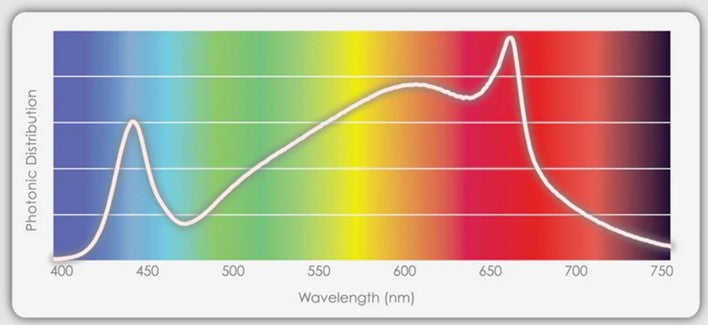 Compact LED grow light system for indoor hydroponic gardening, providing full spectrum coverage