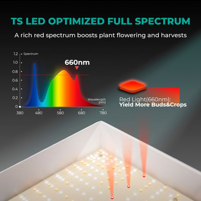 Balanced full spectrum lighting system for all stages of plant growth indoors