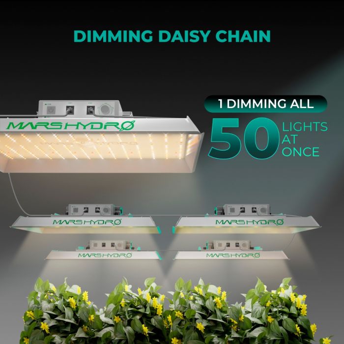 Premium Solexx greenhouse for year-round gardening with weather-resistant panels for durability.