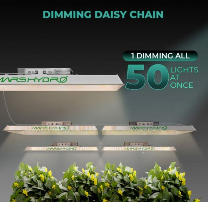 Premium Solexx greenhouse for year-round gardening with weather-resistant panels for durability